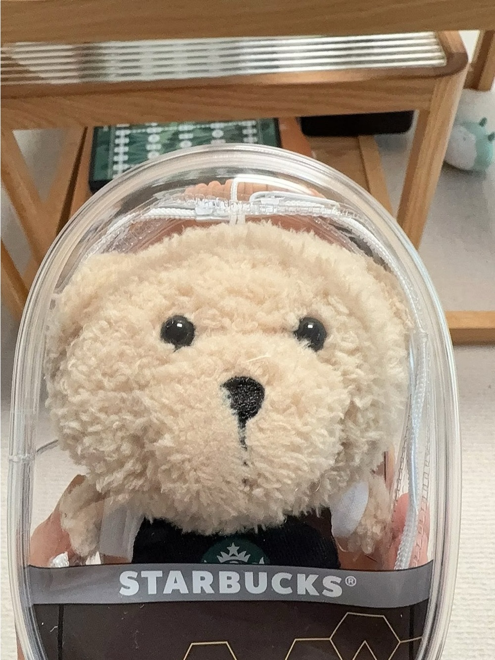Starbucks Beige Teddy Bear in Clear Capsule